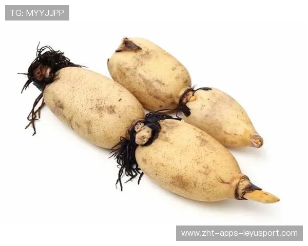 ¦ó+¡-+--Ê¬Ë«+ÏÎ­Ð¤ú¦-µ¥¦ÍðÁ-ÍÏ+·Í«-À